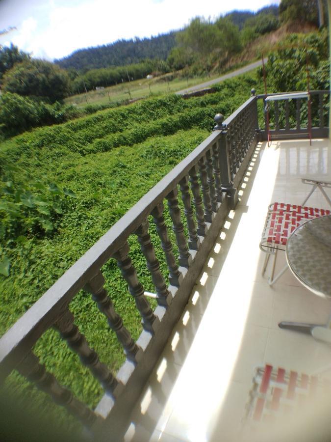 Hana Guesthouse Kuala Tahan Eksteriør billede